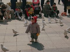 -王府井奥莱棋盘山小镇