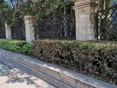 -都江堰玫瑰花溪谷