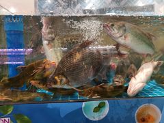 -凯德广场(武胜路店)