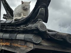 -田德能咖啡博物馆