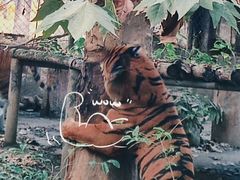 -成都动物园