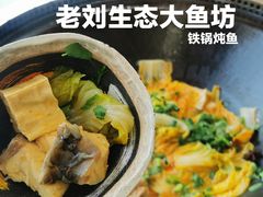 -老刘生态大鱼坊铁锅炖鱼(赛马场店)