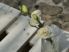 -MOJ coffee(瓯海泽雅水碓坑店)