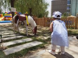 -萌宠亲子动物乐园(槐房万达店)