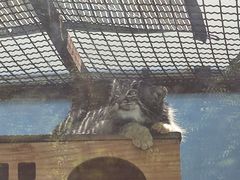 -青藏高原野生动物园