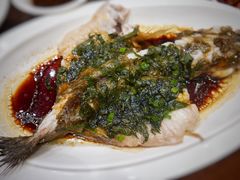-熠盛粤味·顺德桑拿鸡(永康路店)