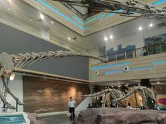 -安徽省地质博物馆