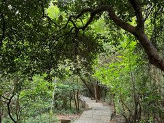 -梧桐山风景名胜区