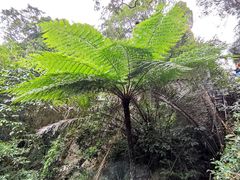 -七仙岭温泉国家森林公园