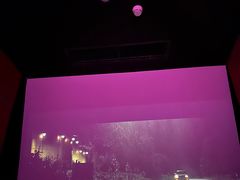 -极光点播影院·Switch.游戏馆(世界之窗店)