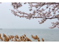 -苏州独墅湖世尊酒店
