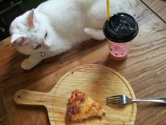 -李小姐の猫咖啡馆(五角场店)