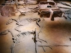 -洛阳周王城天子驾六博物馆