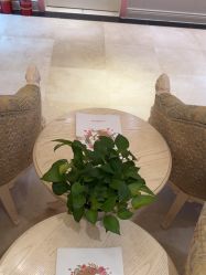 -北京俪婴妇产医院(朝阳大悦城店)