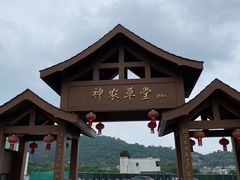 -广州神农草堂中医药博物馆