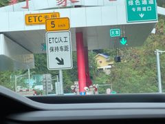 -野象谷景区