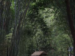 -望江楼公园