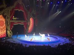 -珠海横琴长隆《卡卡虎奇遇记》