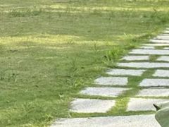 -梁鸿国家湿地公园