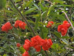 -中国天府农业博览园