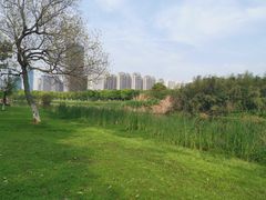 -艾溪湖湿地公园