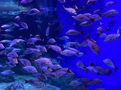 -成都浩海立方海洋公园