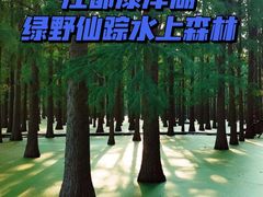 -渌洋湖湿地公园