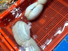 -霞涌市场海鲜摆卖区