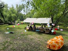 -上海共青森林公园