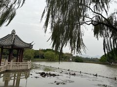 -江心屿景区
