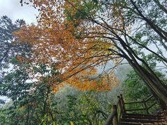 -九峰山