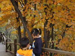-大岭沟猕猴桃谷风景区
