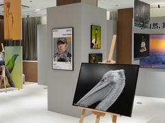 -Sony Store 索尼(上海淮海中路店)
