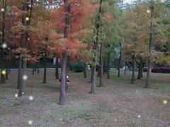 -晓港公园