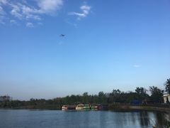 -上海长兴岛郊野公园