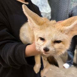 -Zoolung Zoolung动物主题公园(海信广场店)