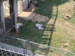 -石家庄市动物园