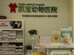 -悦宠凯宝动物医院·牙科·皮肤科(朝阳北路店)