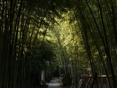 -上海市龙华烈士陵园