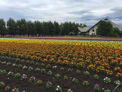 -富田农场