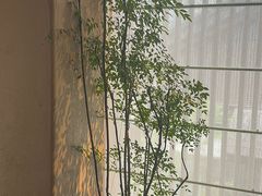 -元古雲境(太古里店)