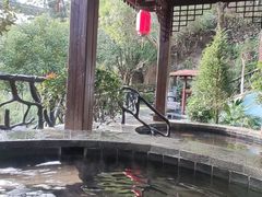 -宜春明月山维景国际温泉度假酒店