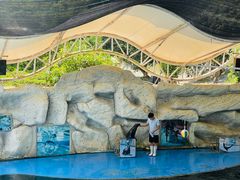 -泉州海丝野生动物世界