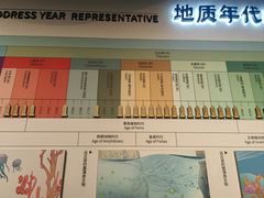 -安徽省地质博物馆