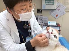 -美联众合爱康动物医院•复杂内科•肿瘤科•牙科•腔镜诊疗中心