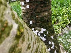 -中国茶叶博物馆(双峰馆区)