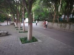 -西安市长乐公园