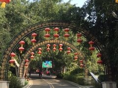 -大屏嶂森林公园