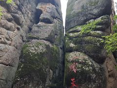 -汤旺河林海奇石景区