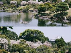 -水前寺成趣园